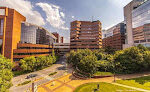 Universidad Vanderbilt